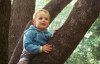 Thumbs/tn_Corey in Tree.jpg